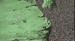 ns2961059.jpg